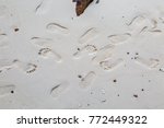 Footprint On Sand