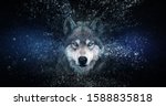 Wolf wallpaper with decay effect, 