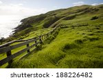 Pasture   New Zealand