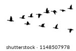 Flying Flock Of Geese In The...