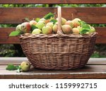 basket of fresh pears on wooden ... | Shutterstock . vector #1159992715