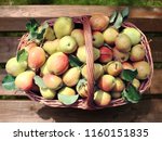 basket of fresh pears on wooden ... | Shutterstock . vector #1160151835