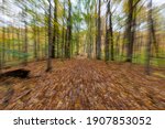 Zoom Burst Of Fall Foliage In A ...