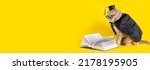 Small photo of Back to school banner, cat student in a cap and mantle reading book on yellow background. Sale, promotion, discount. Concept of school, study, distant education, book store, online courses. Copy space