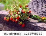 Wild Strawberry Bunch With...