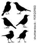 birds silhouette   6 different... | Shutterstock .eps vector #93920983