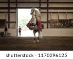 Small photo of Buton, Maine / USA - August 26 2012: Herrmann's Royal Lipizzan Stallions at Hearts & Horses Therapeutic Riding Center