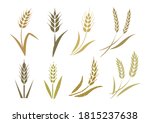 wheat and barley icons... | Shutterstock .eps vector #1815237638