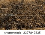 Small photo of Composting windrow under construction, with drainage pipe installed to collect the slurry generated in the composting process of decomposing organic matter.