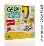 Small photo of Winneconne, WI - 11 September 2022: A package of gogo squeez morning smoothiez blend of yogurt, fruit and oats on an isolated background.