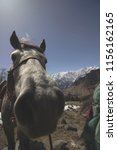 Small photo of A blooper by a Mare while climbing the Snowy Mountains. A still from Manali, India.