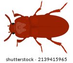 Vector Beetles  Leaf Beetle...