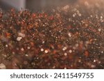 Small photo of Shrubs on cotoneaster branch on fall bokeh background. Bearberry shrub with autumn leaves close-up. Fall multicolor leaves of green red yellow orange colors. Autumn backdrop with colorful rich flora.