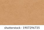 leather texture background.... | Shutterstock .eps vector #1907296735