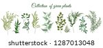 collection of green plants.... | Shutterstock .eps vector #1287013048