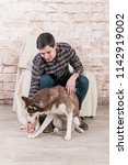 Small photo of A man and a hussy dog are posing in the studio. The basics of training pets.