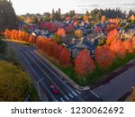 Aerial shot of a street intersection in Hillsboro, Oregon. Red fall trees along streets highlighted with setting sun. Fallen leaves create circles around trees. Bright fall colors