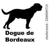 Dogue De Bordeaux Dog...