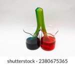 Small photo of A celery stem was split in half and put into two glasses with different coloring. Biological and physics experiment to show capillary action in nature.