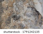 Stone Texture. Closeup Of The...
