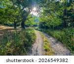 Small photo of Path to nature in Bruis valdoule France