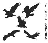 Eagle Icons Set   Black Bird  ...