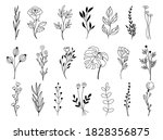 set of vector doodle hand drawn ... | Shutterstock .eps vector #1828356875