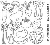 vegetable vector illustration... | Shutterstock .eps vector #1673632855