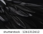 Black Wing Feathers Detail ...
