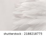 Small photo of White bird wing, soft feathers closeup, high detail. Abstract light background. Feathers texture