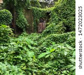 Small photo of A century-old Portuguese house lies in complete ruins in Mapusa town in Goa, India, and is slowly but surely being taken over entirely by wild tropical vegetation of all kinds.
