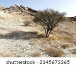 Small photo of Rugged terrain in a rocky desert wadi (dry ravine) in the Hajar Mountains range in Fujairah emirate, United Arab Emirates. Inhospitable Arabian Gulf desert concept.