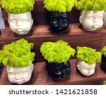Small photo of Flower pot head made of ceramic. Small Doll Head. Pots Set Ceramic Planter Face Planter Head Vase Plant Pot Engagement Gifts. Designer Flower Pots