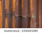 Small photo of top view and flat lay old metal sheet roof texture background. rusty roof,rusty metal sheet , artistic of old and rusty zinc sheet wall pattern of old metal sheet.