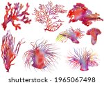 Set Of Colorful Corals....