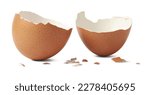 Brown egg shell broken or crack ...