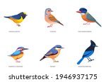 set of birds vector  turtle... | Shutterstock .eps vector #1946937175