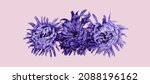 Three Violet Aster Flower...