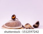 Small photo of Gemstone ring gift concept. cinnamon stone ring on a seashell with white background