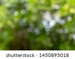 closeup nature view of green... | Shutterstock . vector #1450895018