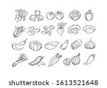 sketch vegetable icon set... | Shutterstock .eps vector #1613521648