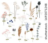 vector set of boho plants.... | Shutterstock .eps vector #1692071248