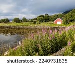Arctic coastal landscape in Sortland Municipality