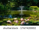 Small photo of Magical garden pond with blooming water lilies and lotuses. There is beautiful cascading fountain in pond. Evergreens and aquatic plants are reflected in water. Atmosphere of relaxation and rest.