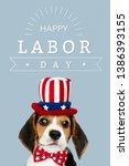 Small photo of Happy labor day from cute Beagle in Uncle Sam hat