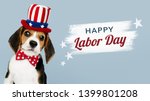 Small photo of Happy labor day from cute Beagle in Uncle Sam hat