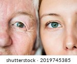 family generation green eyes... | Shutterstock . vector #2019745385