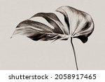 Small photo of Monstera leaf background grayscale with risograph effect remixed media