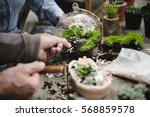 Terrarium Miniature Botanical Horticulture Grow