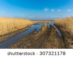 Landscape With Dirty Road Wit...